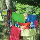 Pozor na biologické hrozby při sušení prádla...