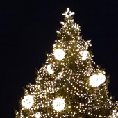 Vánoční stromeček na nám. T. G. Masaryka