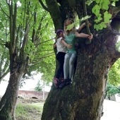 Týmově lezeme na stromy