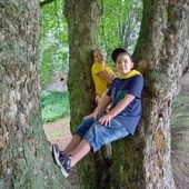Týmově lezeme na stromy