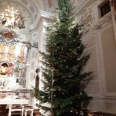 Vánoční strom na Svaté Hoře
